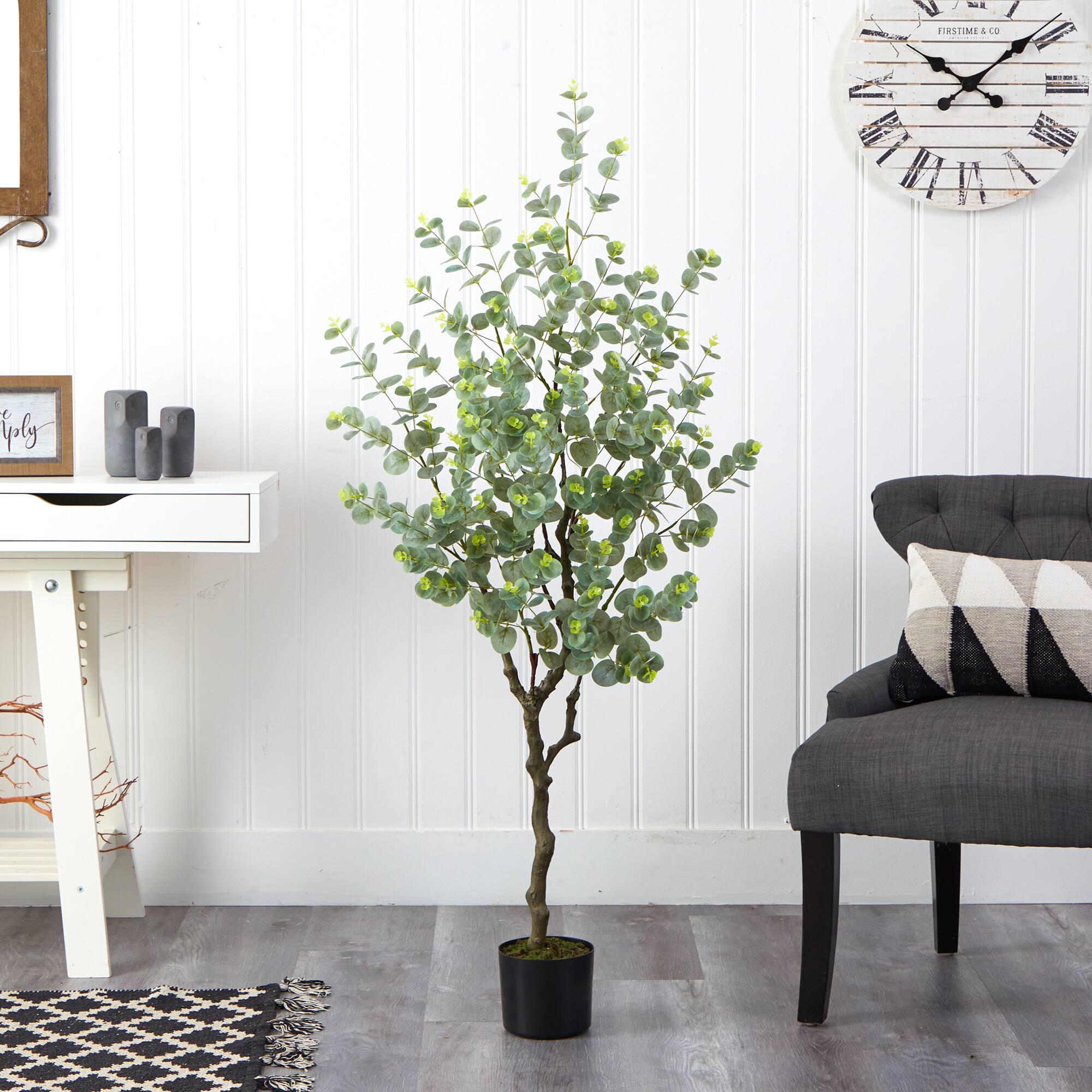4.5ft. Potted Eucalyptus Tree